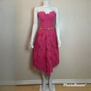 Curvy pink lace sweetheart strapless scalloped leaf  belted midi dress